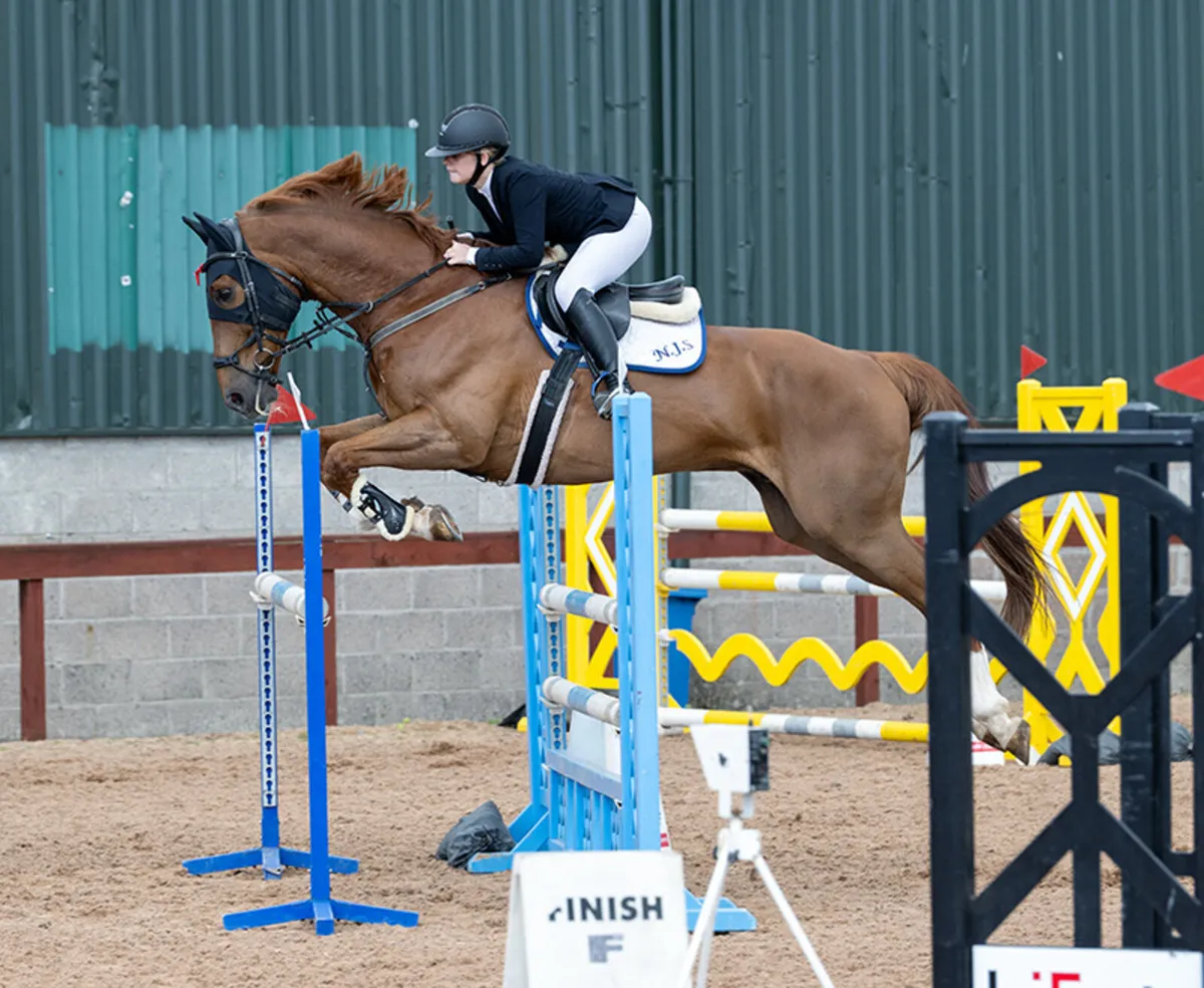 Top YR/Am Showjumper - Image 1
