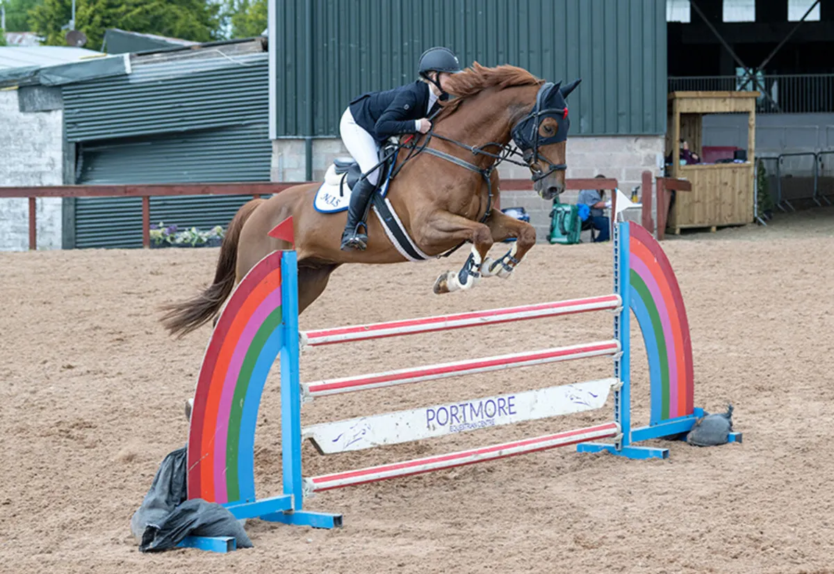 Top YR/Am Showjumper - Image 2