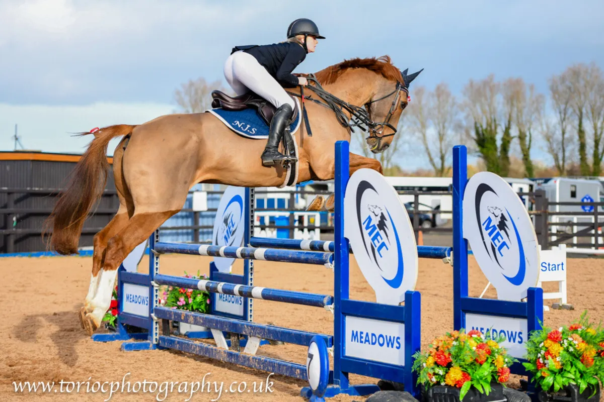 Top YR/Am Showjumper - Image 3
