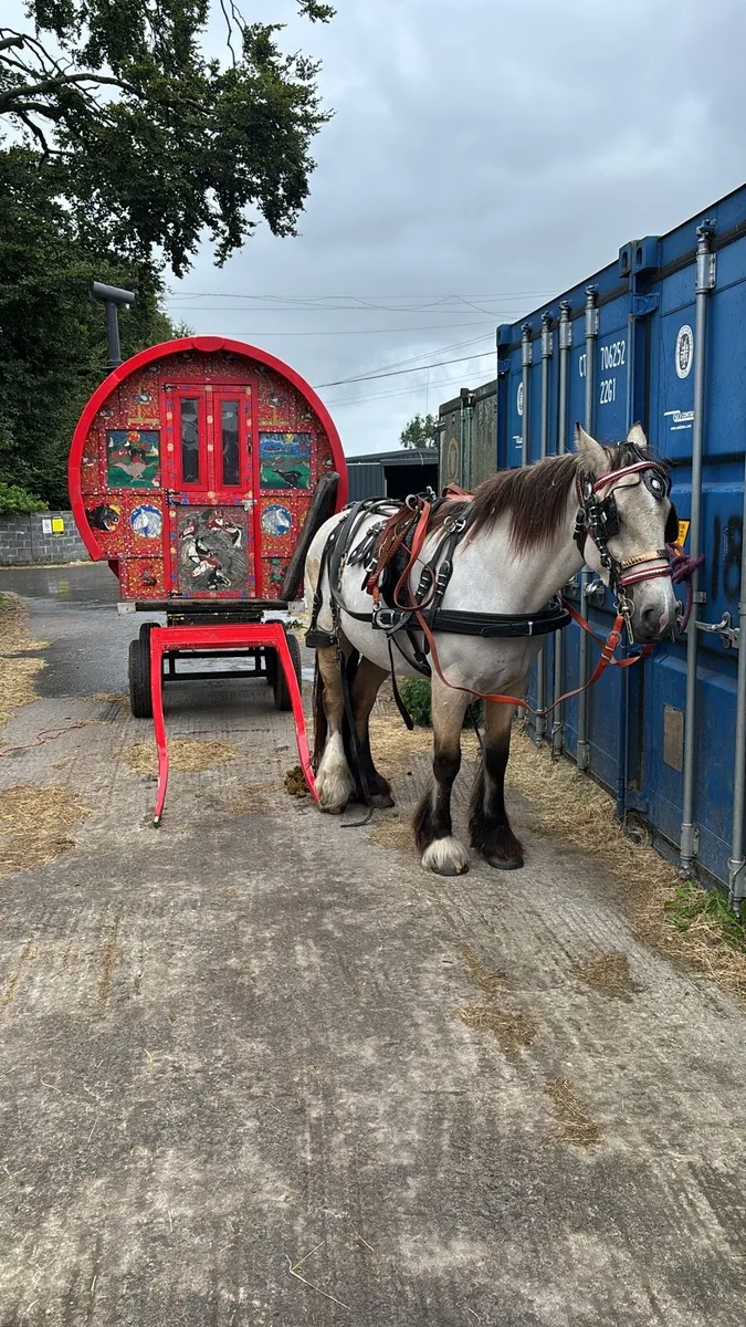 Gypsy Wagon - Image 2