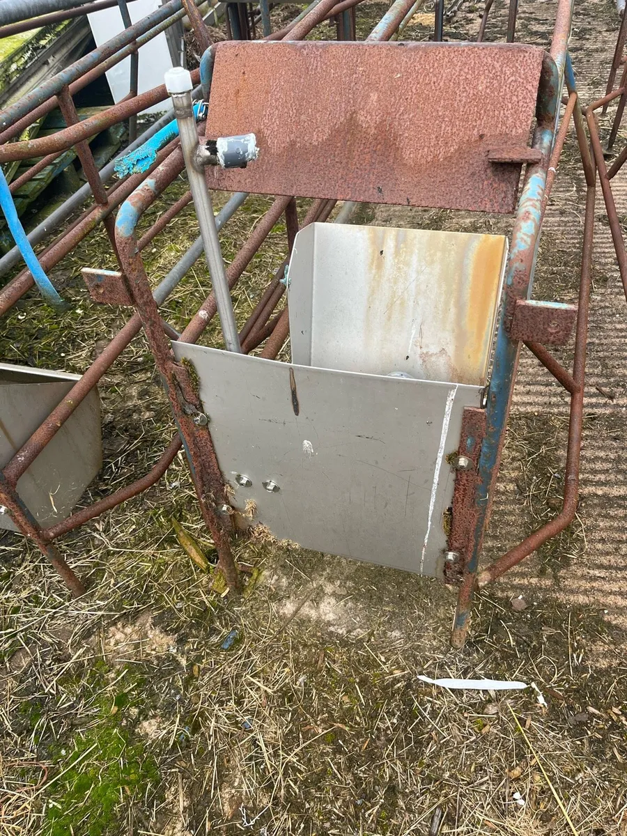 Farrowing crate’s - Image 3