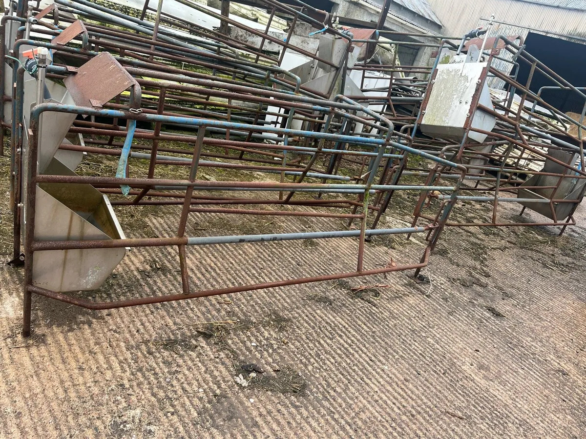 Farrowing crate’s - Image 4