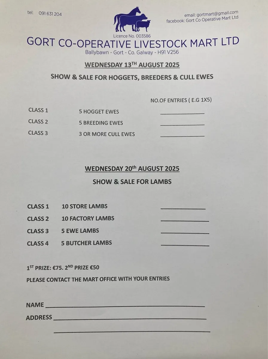 Gort Mart: Weds 13th Aug: Hogget, Breeders , Casts - Image 1