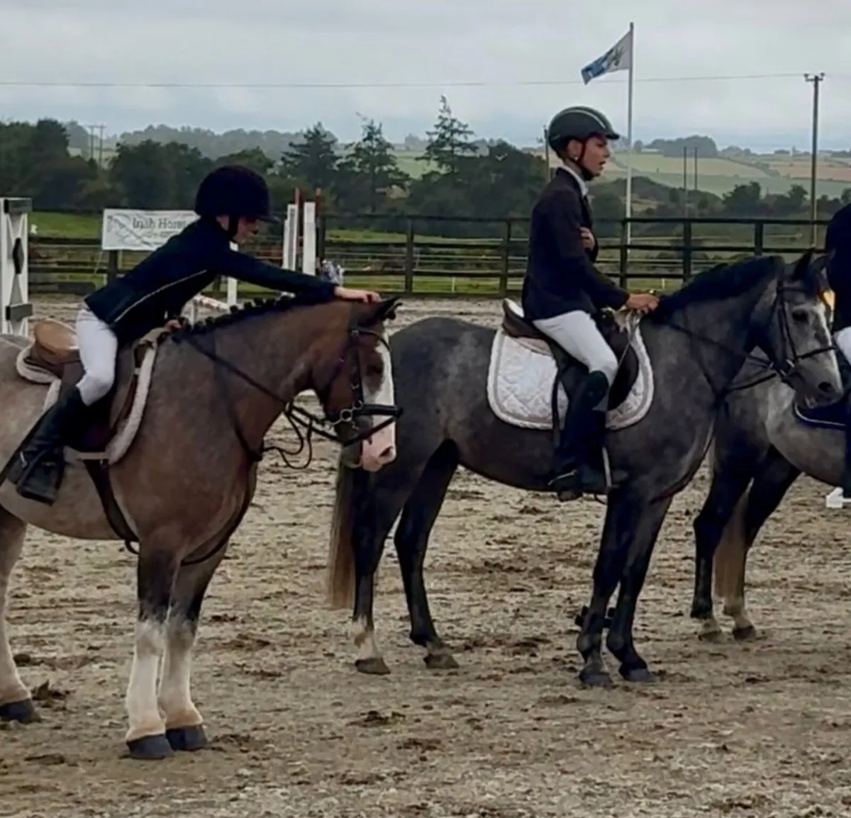 Future Top Track 128 pony - Image 1