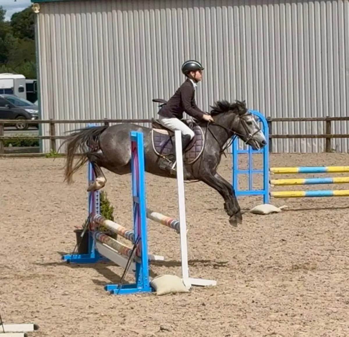 Future Top Track 128 pony - Image 2