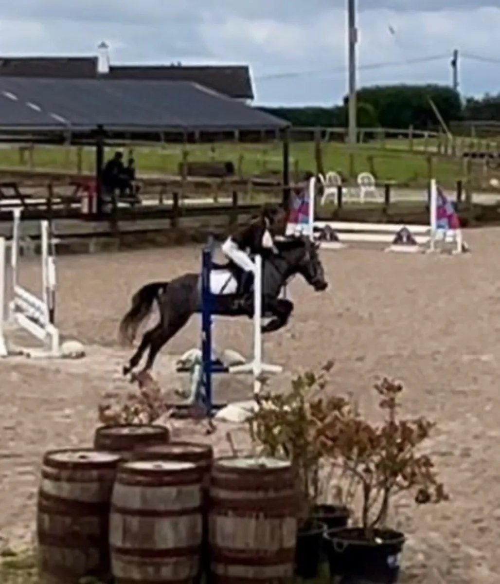 Future Top Track 128 pony - Image 3