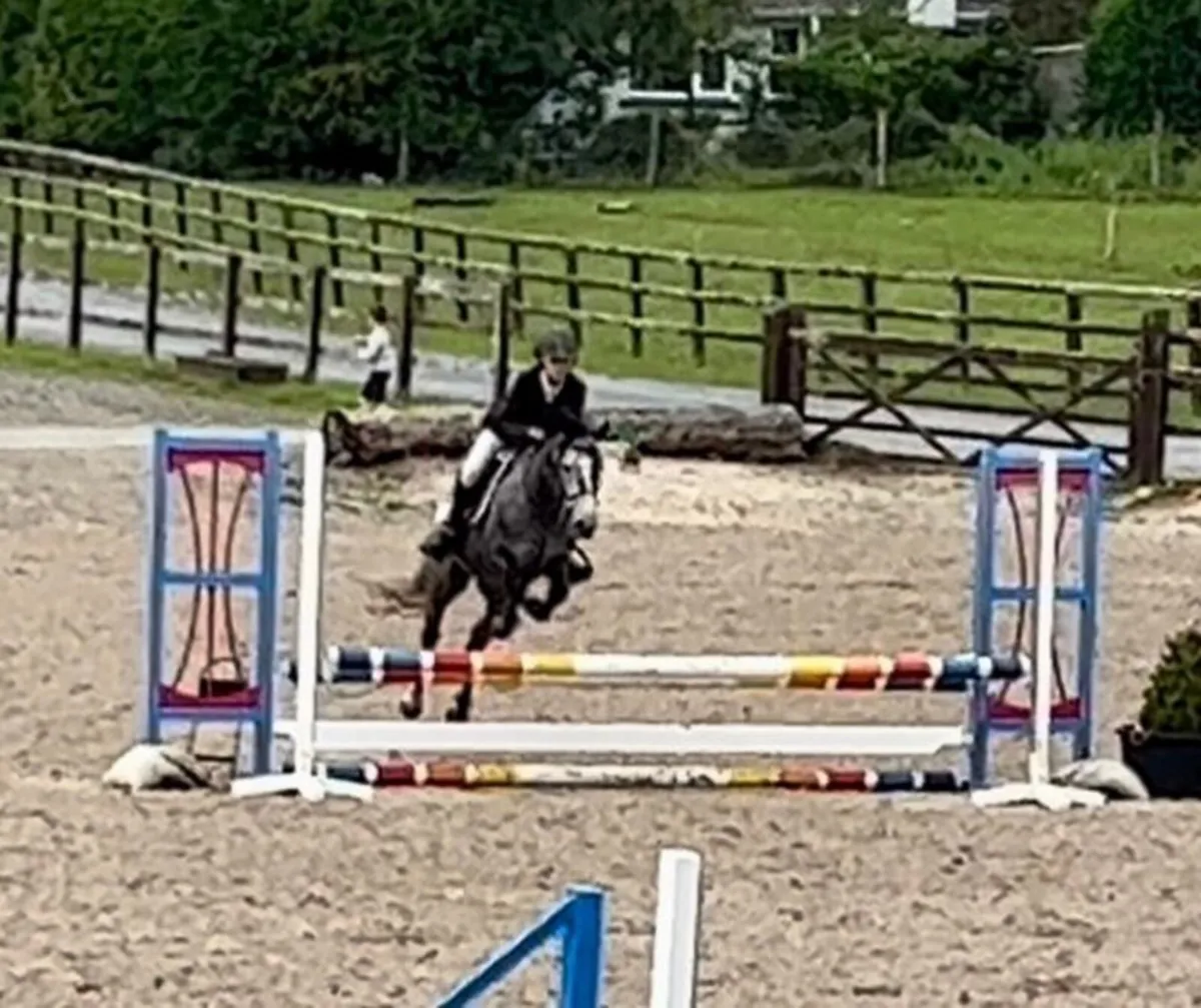 Future Top Track 128 pony - Image 4