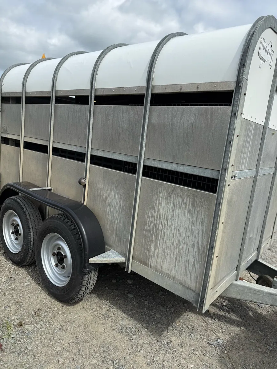 10x6 cattle trailer - Image 1