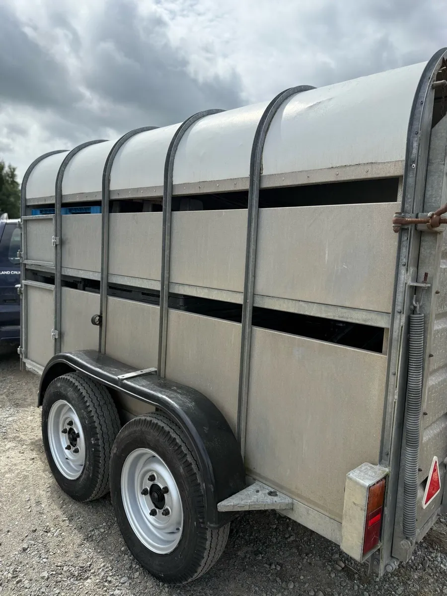 10x6 cattle trailer - Image 2
