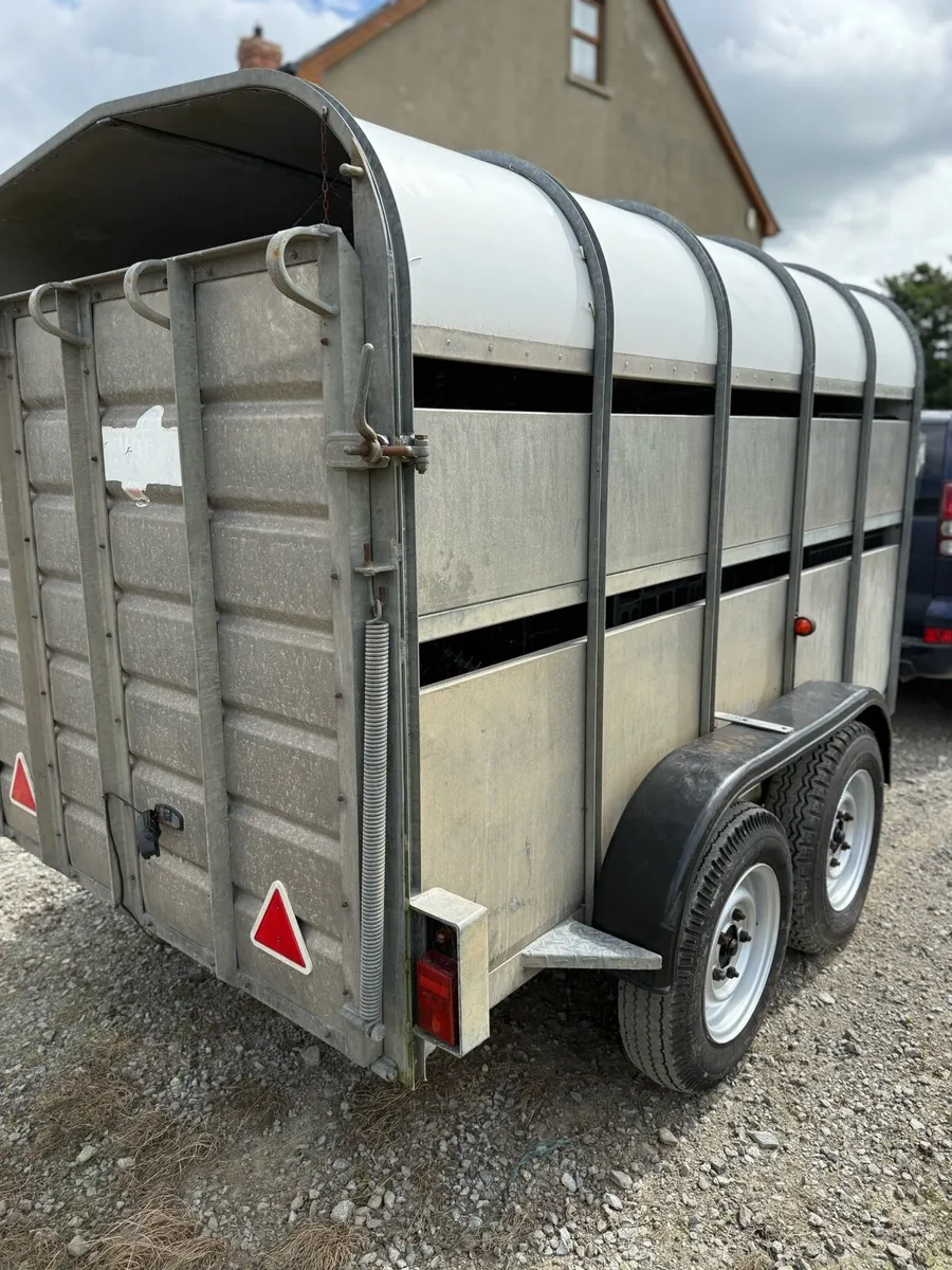 10x6 cattle trailer - Image 3