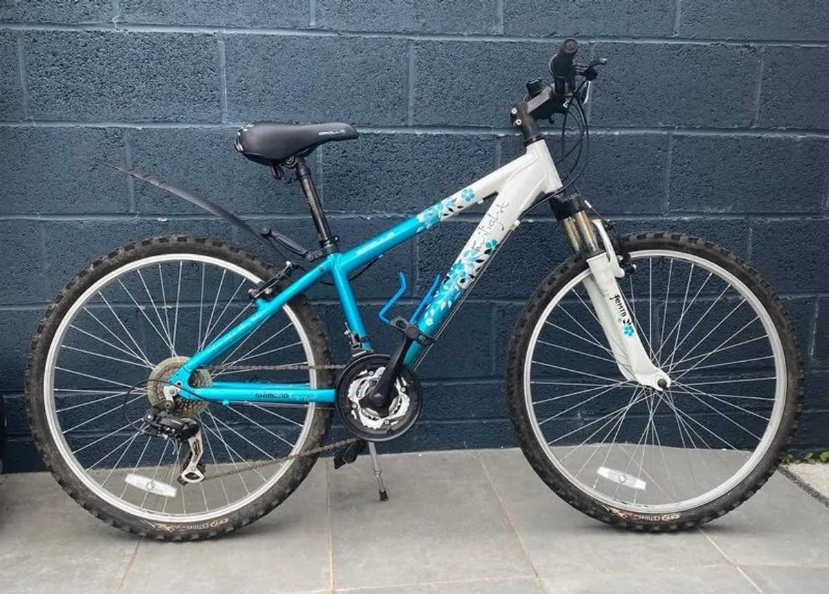 apollo kids bike