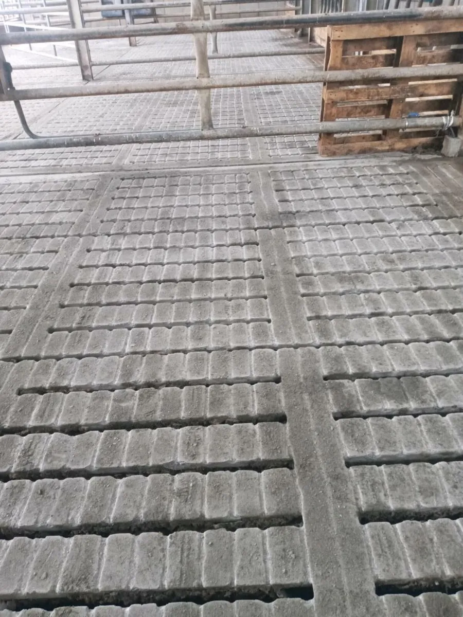 Concreat Grooving - Image 4