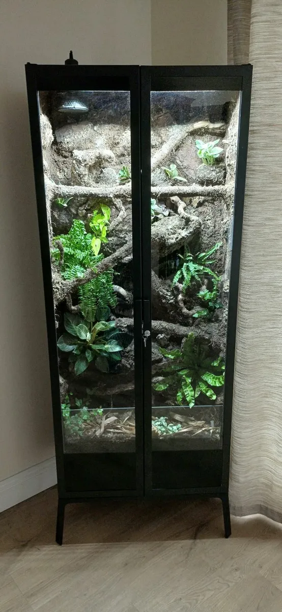 Terrarium /Vivarium - Image 1
