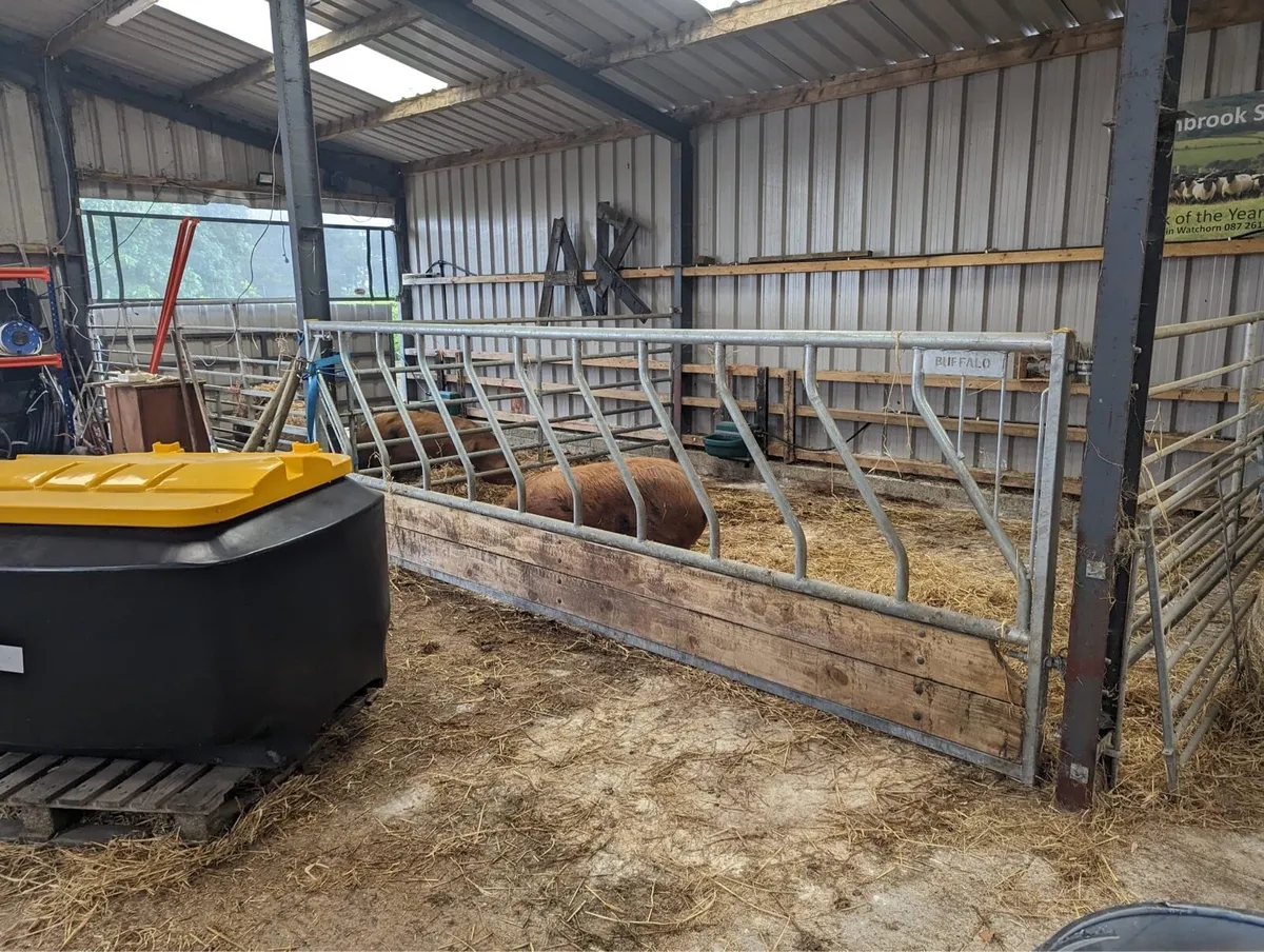 Cattle Feeding Barriers - Image 1