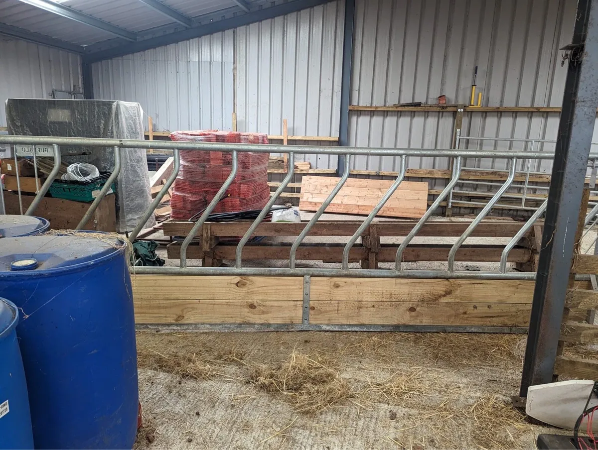 Cattle Feeding Barriers - Image 2