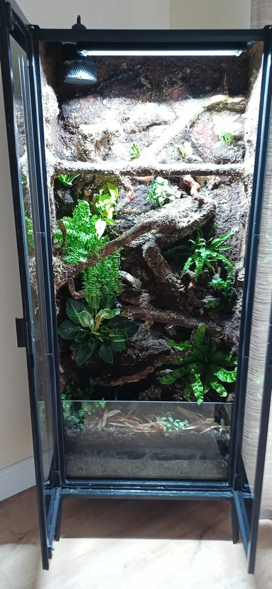 Terrarium /Vivarium - Image 2