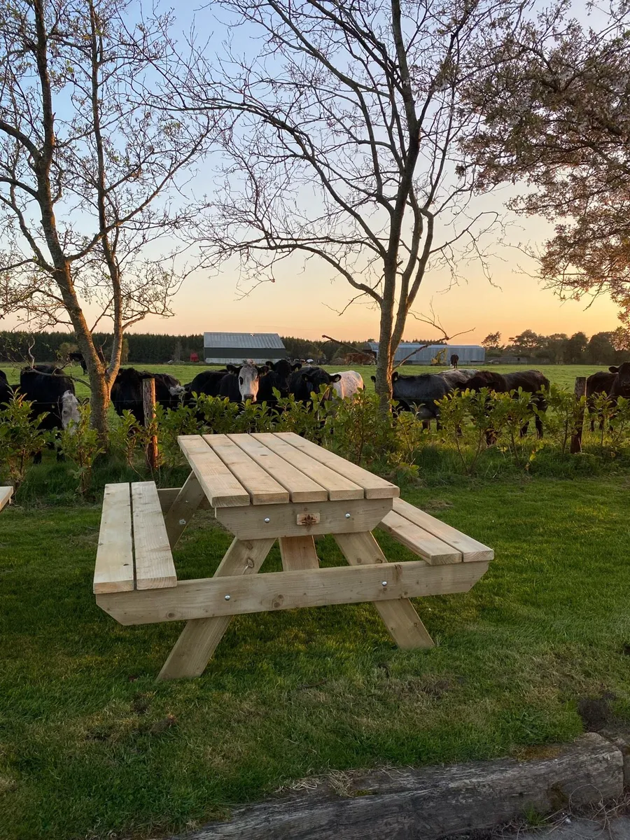 Heavy Duty Picnic Bench’s - Image 4