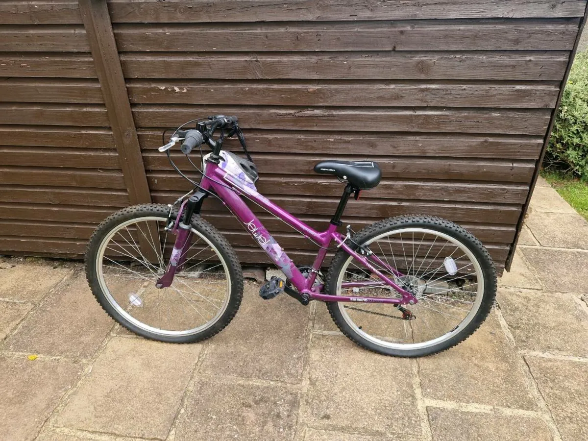 Apollo Jewel  Womans Mountain bIke - Image 1