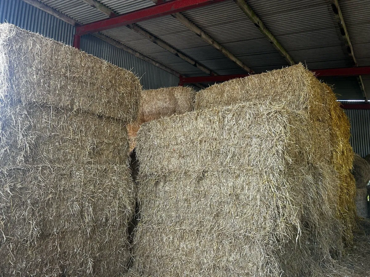 Wheaten straw - Image 1