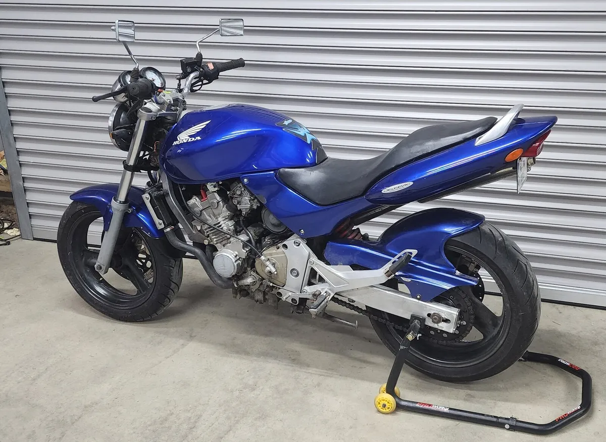 Honda Hornet 250 - DEPOSIT TAKEN - Image 1
