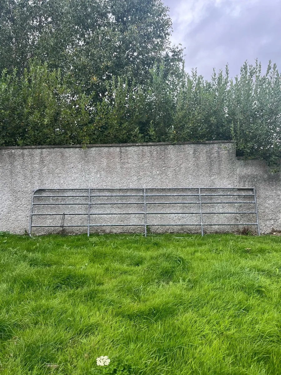 18ft Galvanized gate - Image 1