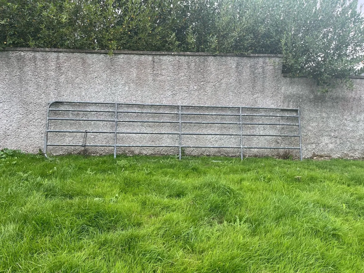 18ft Galvanized gate - Image 2