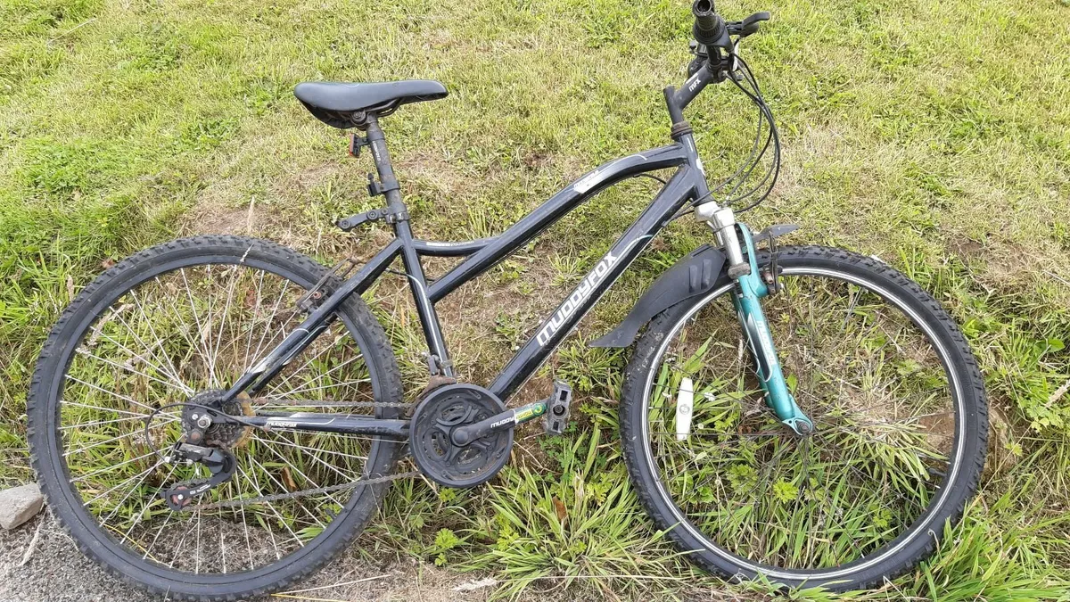 Mountain bike muddyfox