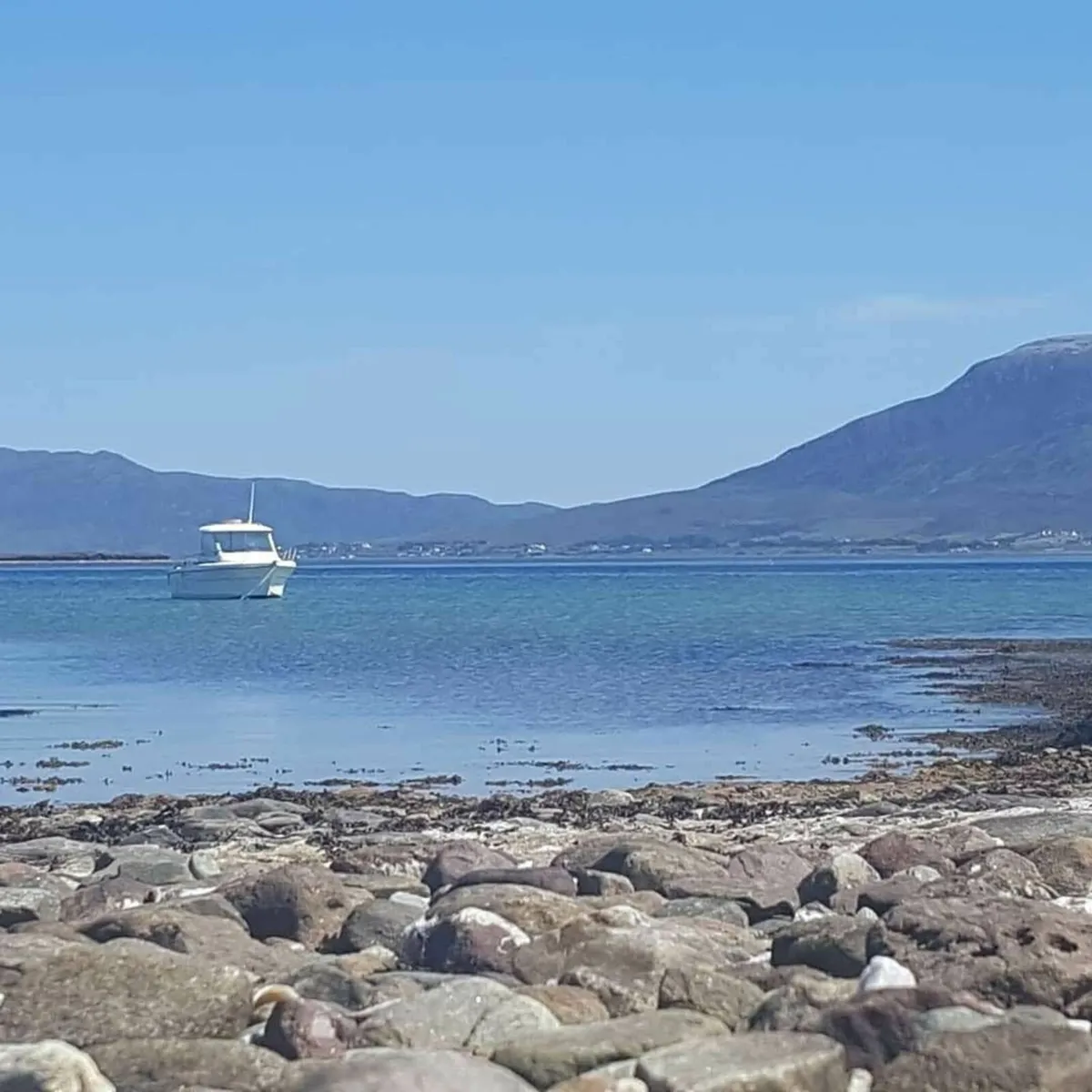 For Sale ** Ocqueteau 575 Fast Fisher** - Image 2