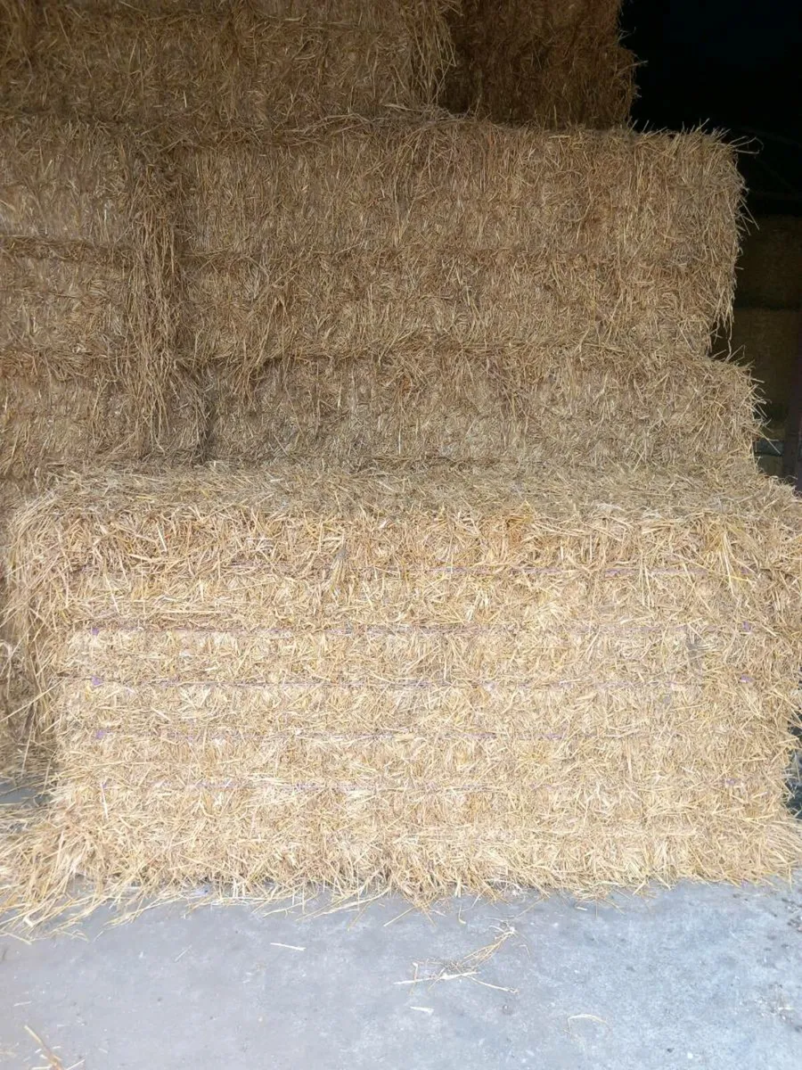 8x4x3 barley straw - Image 1