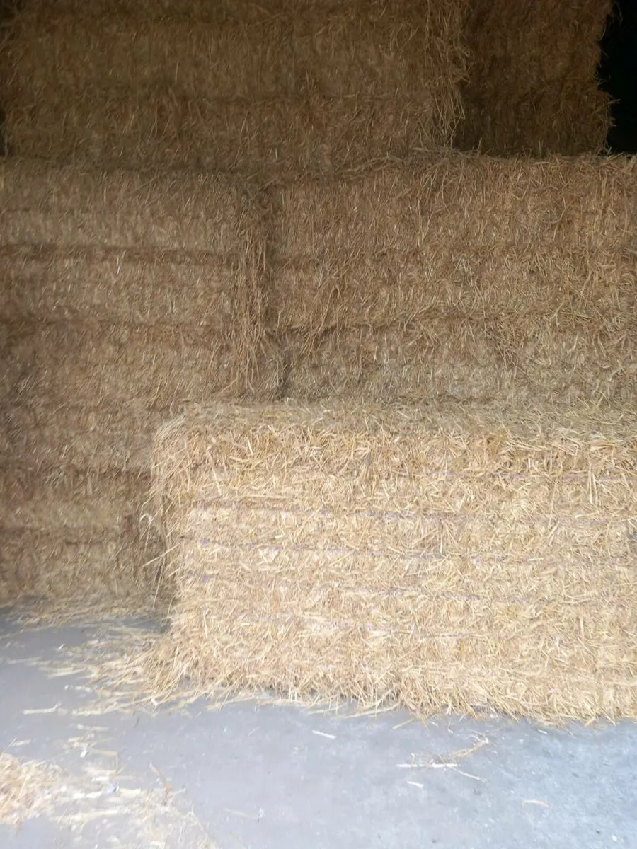 8x4x3 barley straw - Image 2