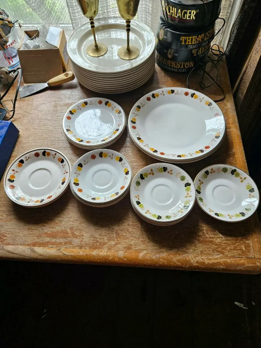 Vintage Arklow Pottery 17 pieces - Image 1