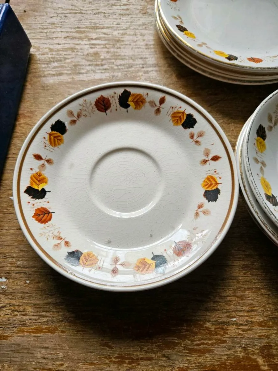 Vintage Arklow Pottery 17 pieces - Image 2