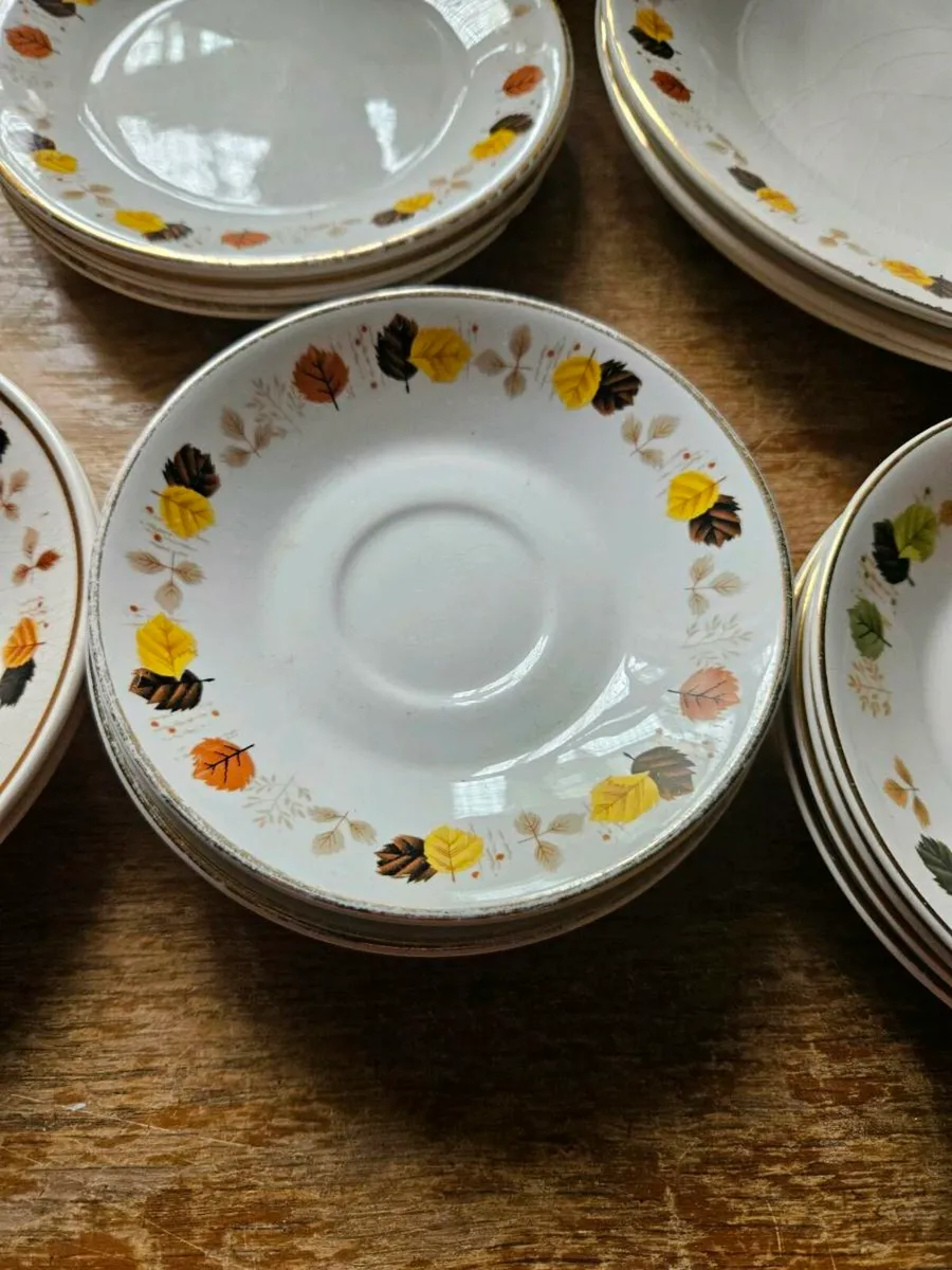 Vintage Arklow Pottery 17 pieces - Image 3