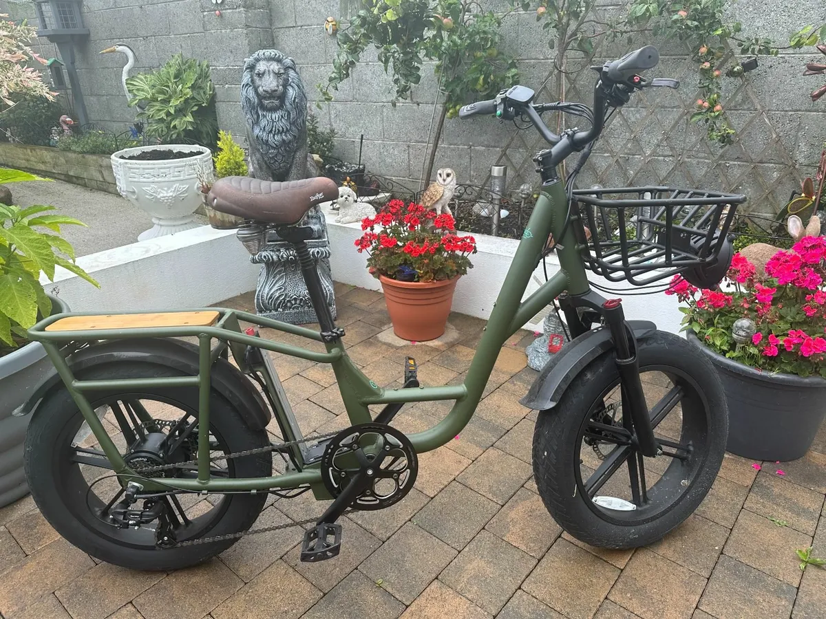 Fido T1 Electric Bike - Image 1