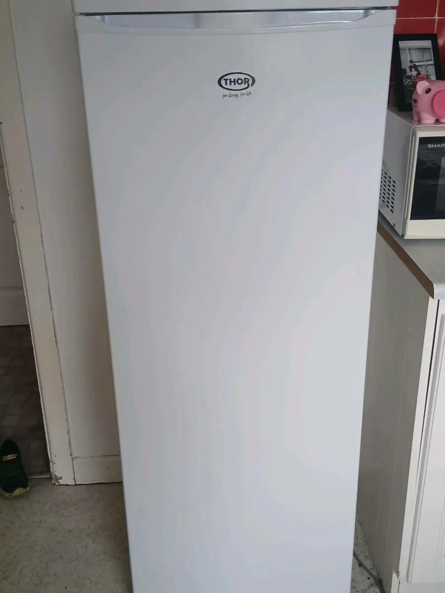 Thor Larder Fridge - Image 1