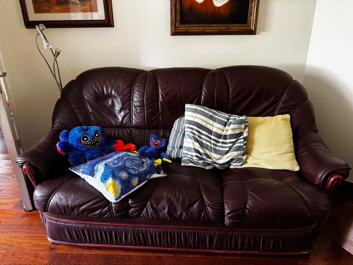 Sofa Bed - Image 4