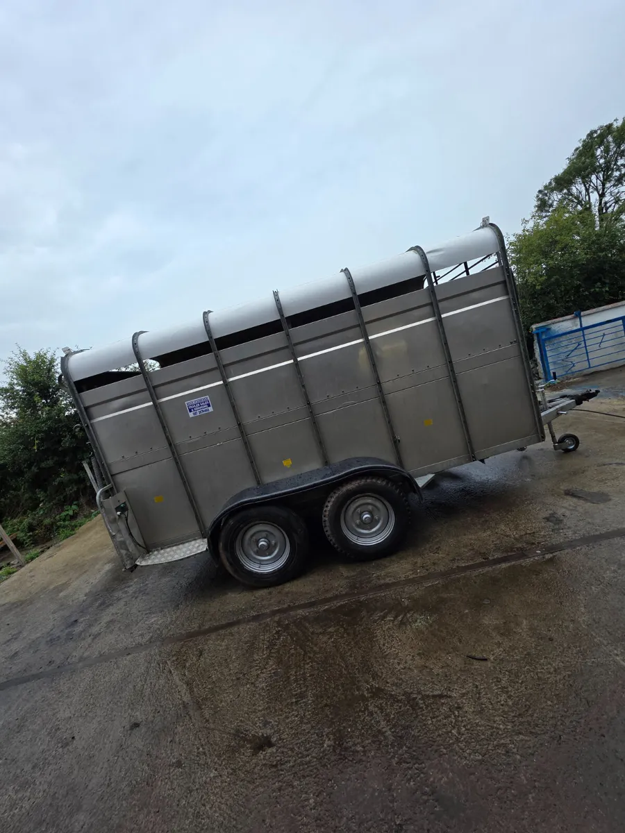 12ft hudson livestock trailer - Image 4