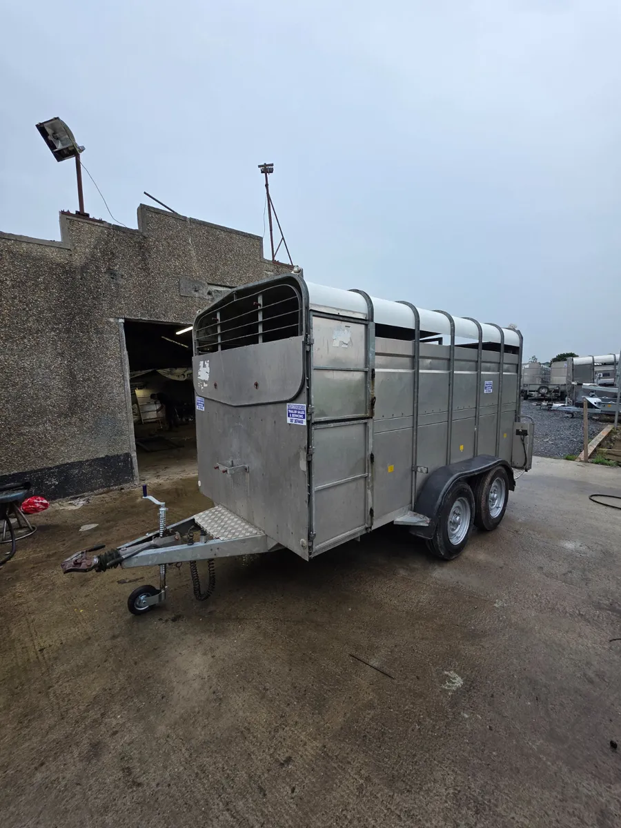 12ft hudson livestock trailer - Image 3