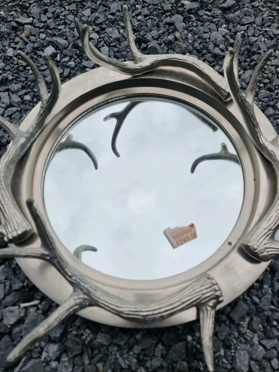 Mirror / Stag Antler Steel and Nickel Finish Wall - Image 2