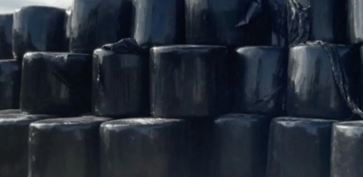 Silage - Image 1