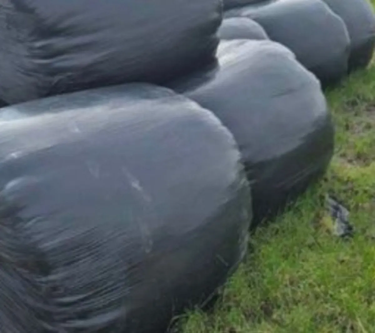 Silage - Image 2