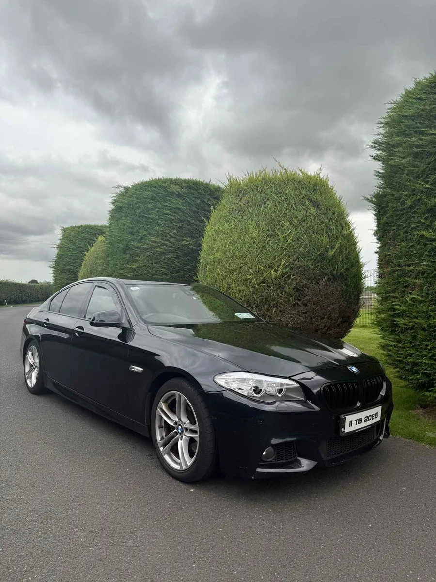Bmw f10 520d - Image 1