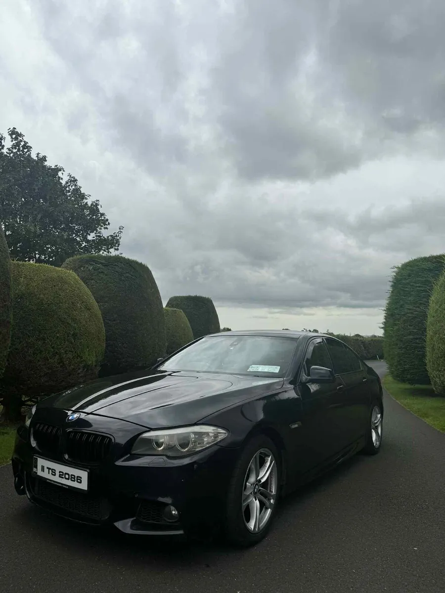 Bmw f10 520d - Image 3