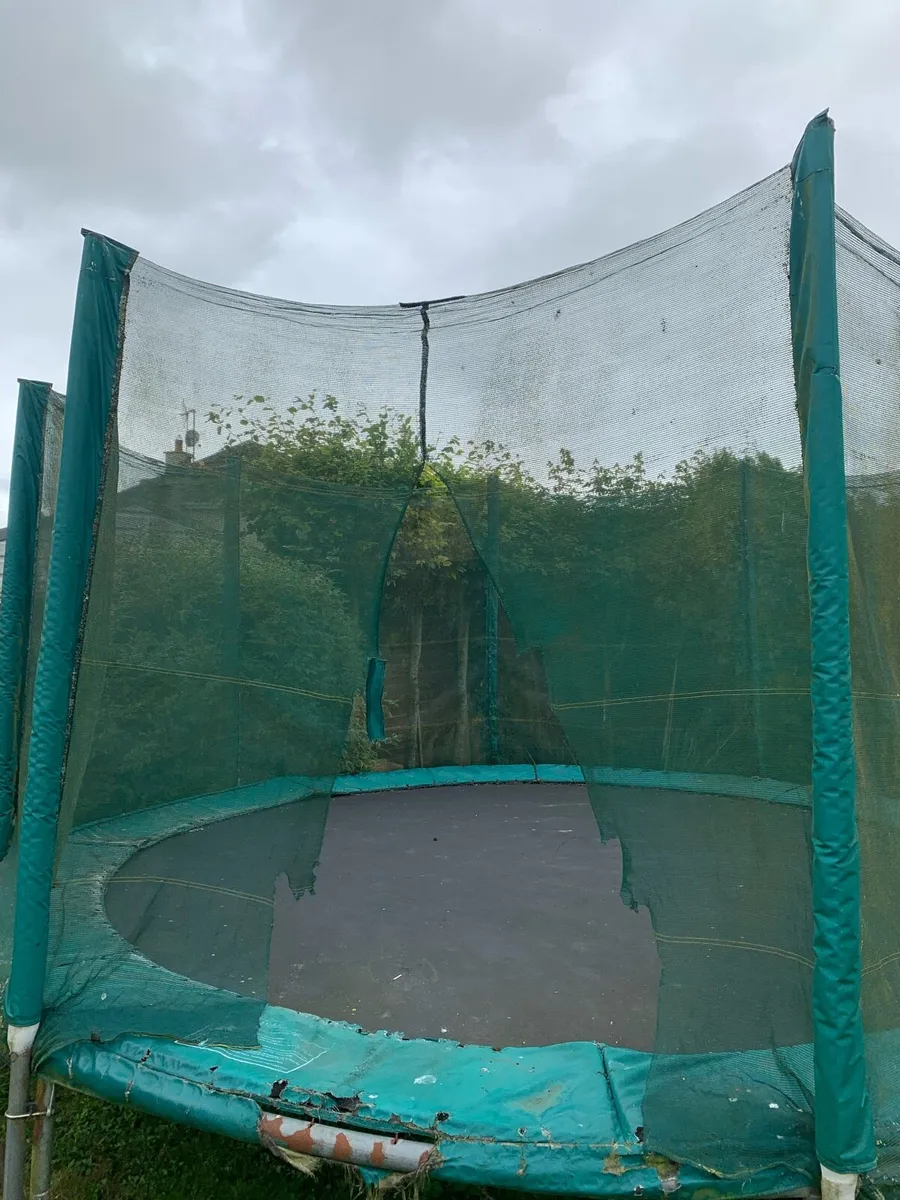 Trampoline - Image 2