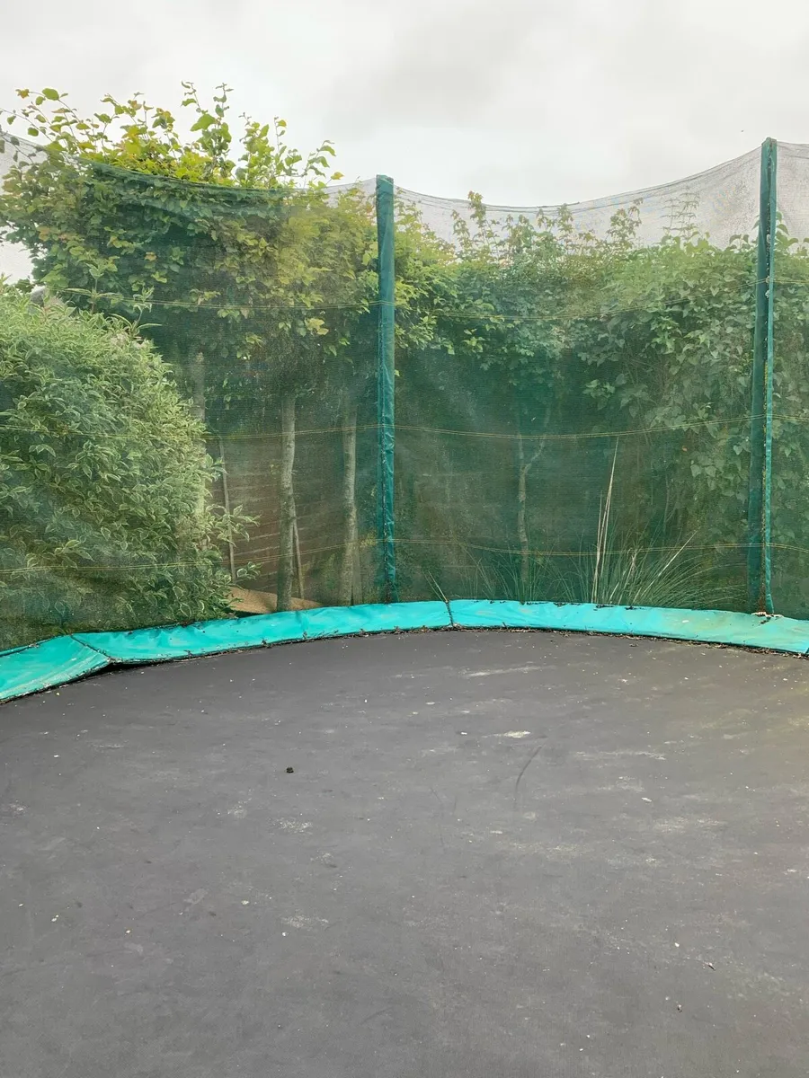 Trampoline - Image 3