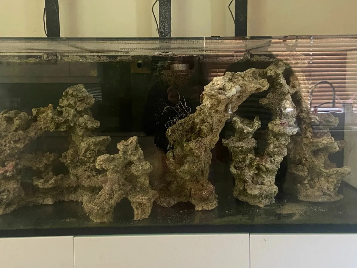Aquarium Equipment 400 euros - Image 2