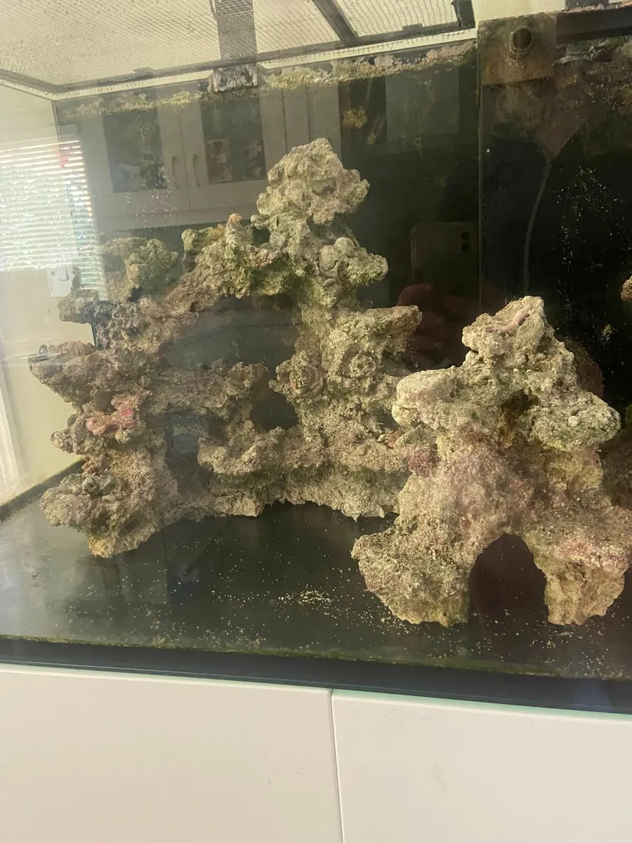 Aquarium Equipment 400 euros - Image 4