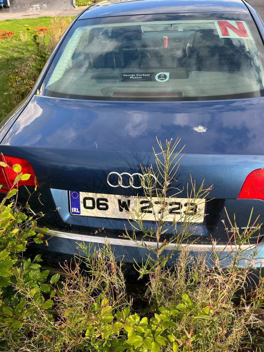 Audi a4 b7 1.9tdi pd115 - Image 1