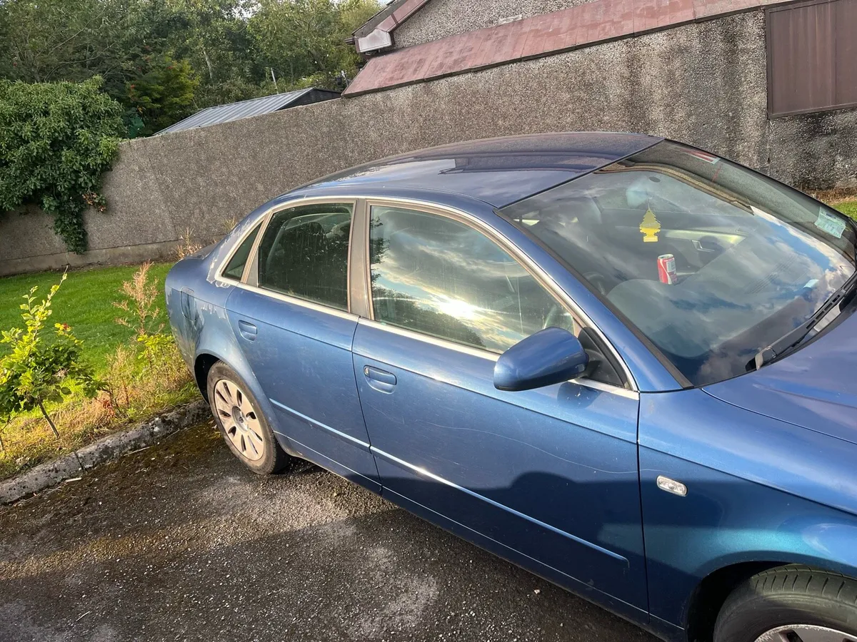 Audi a4 b7 1.9tdi pd115 - Image 4