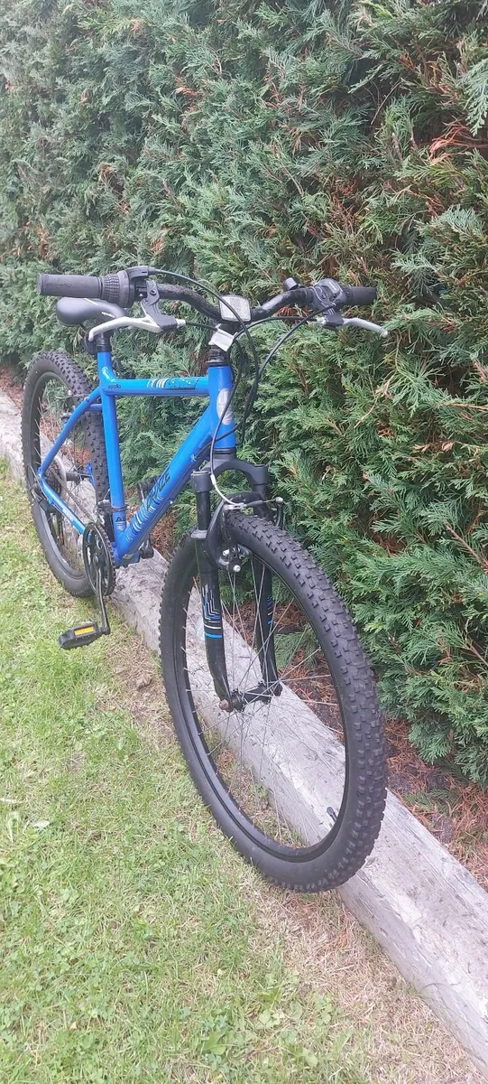 Bike - Image 2